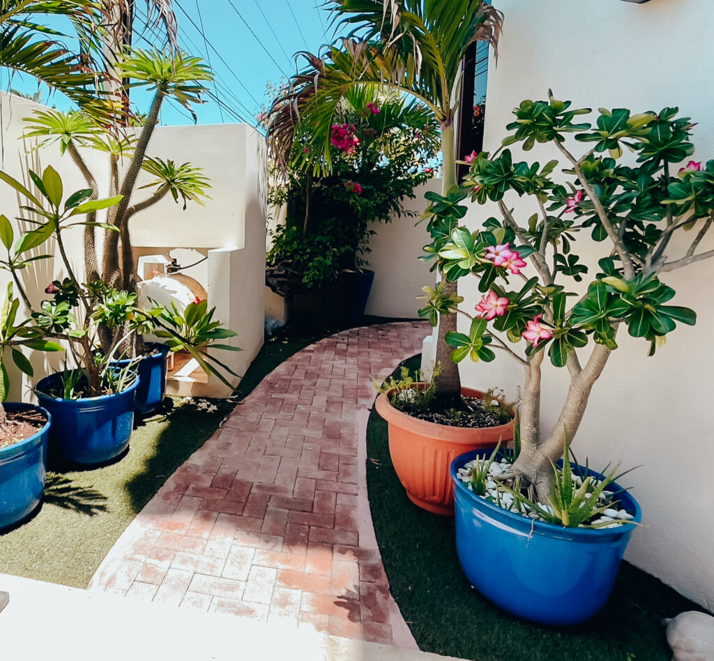 Front courtyard Casa Luna azul